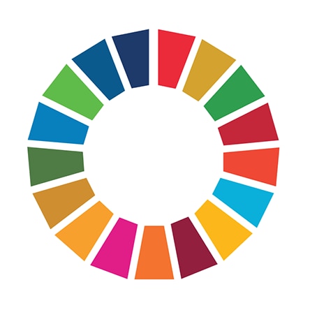 Years of underinvestment by all countries has meant that over 80% of the Sustainable Development Goals’ targets are off track.